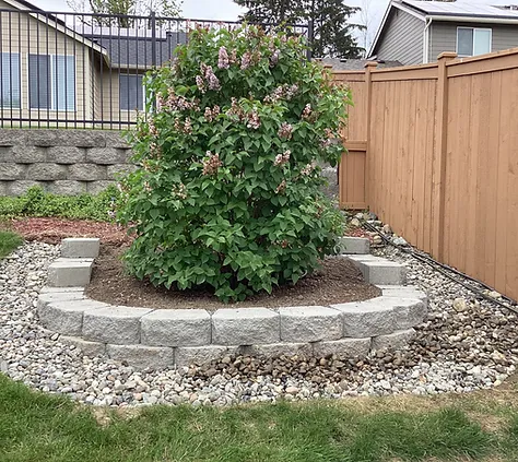 255a1e_a0cc041329f44940b7d8c97b518ff155~mv2